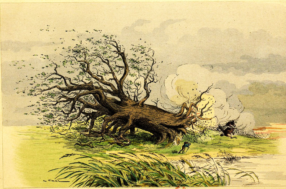 Le chêne et le roseau Le chêne et le roseau de Jean de la Fontaine