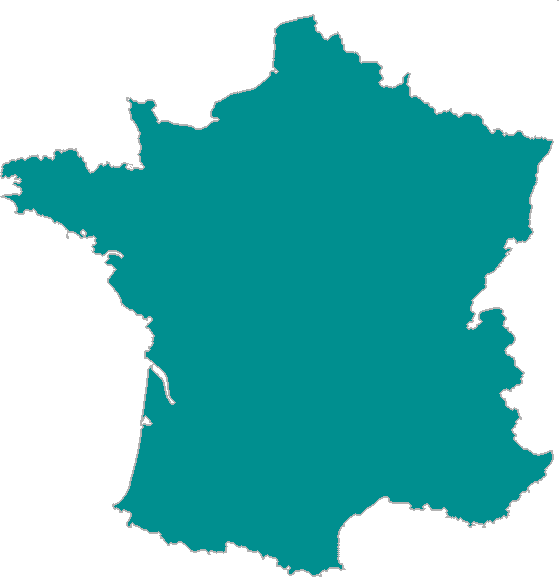 Dessin France avec drapeau pour le nombre de surdoués en France